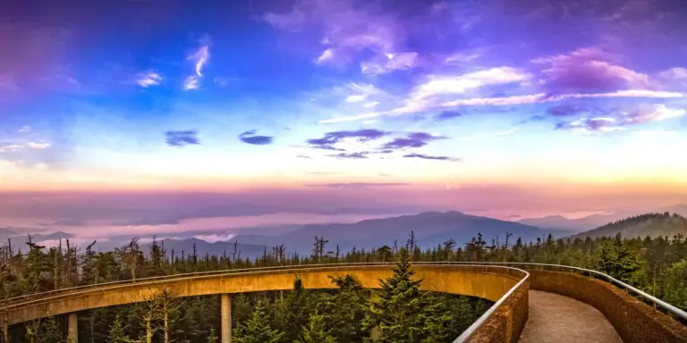 Clingmans Dome