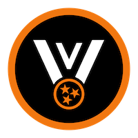 Volunteer Villas Icon@200x200 Black Cutout